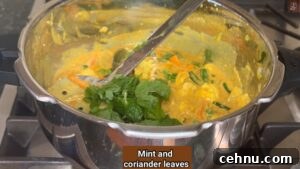 Pressure Cooker Vegetable Biryani Recipe 37 Add mint and coriander leaves