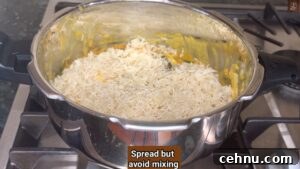 Pressure Cooker Vegetable Biryani Recipe 40 Spread rice over vegetables