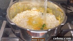 Pressure Cooker Vegetable Biryani Recipe 41 Add water for pressure cooker biryani