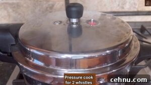 Pressure Cooker Vegetable Biryani Recipe 47 Pressure cooked vegetable biryani