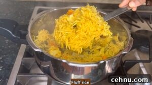 Pressure Cooker Vegetable Biryani Recipe 48 Open pressure cooker biryani