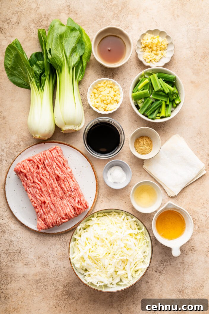 Crispy Dumpling Stir Fry Recipe 4 ingredients