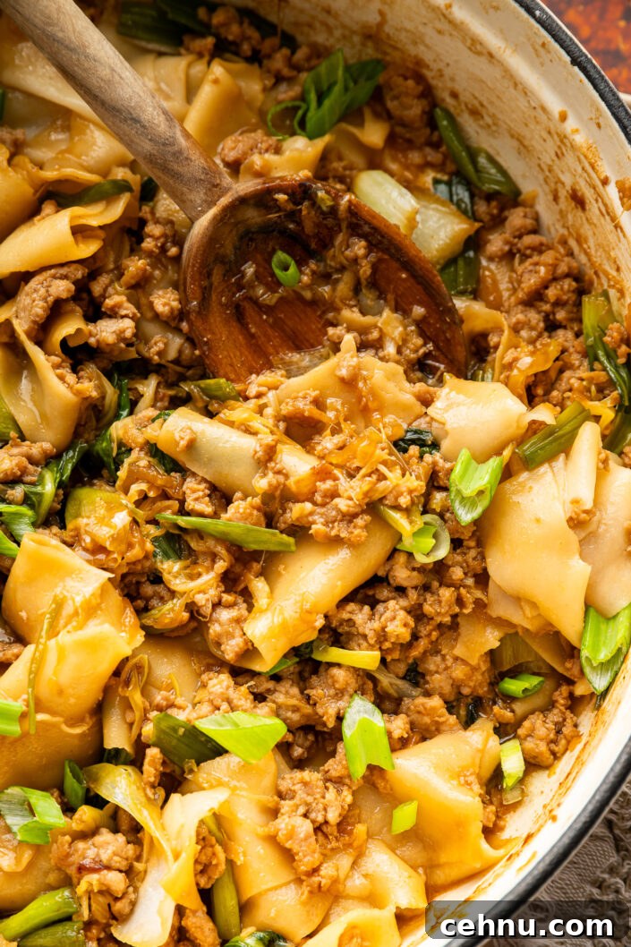 Crispy Dumpling Stir Fry Recipe 9 Broken Dumpling Stir Fry