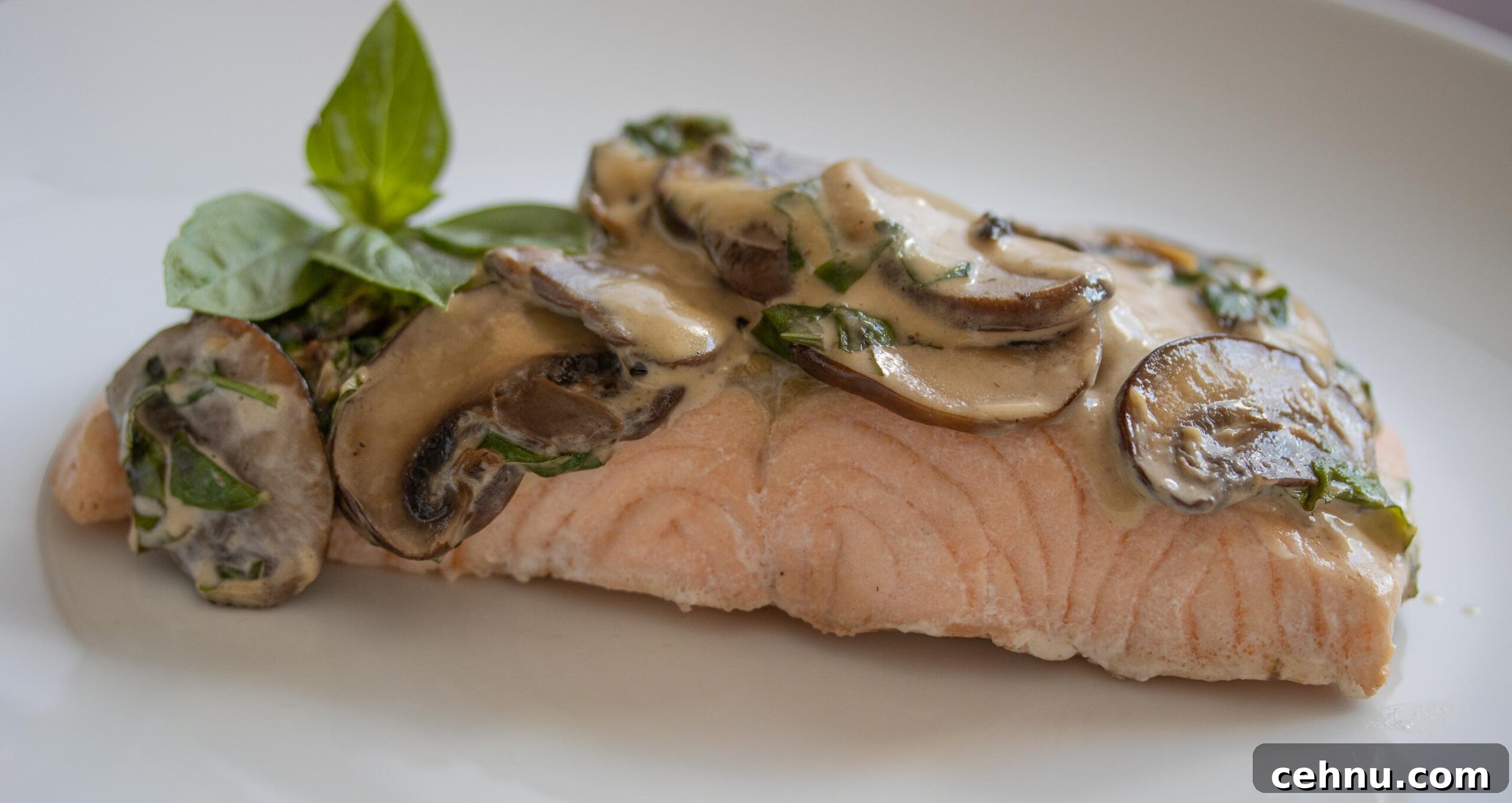 salmon with basil mushroom sauce salmon with basil mushroom sauce