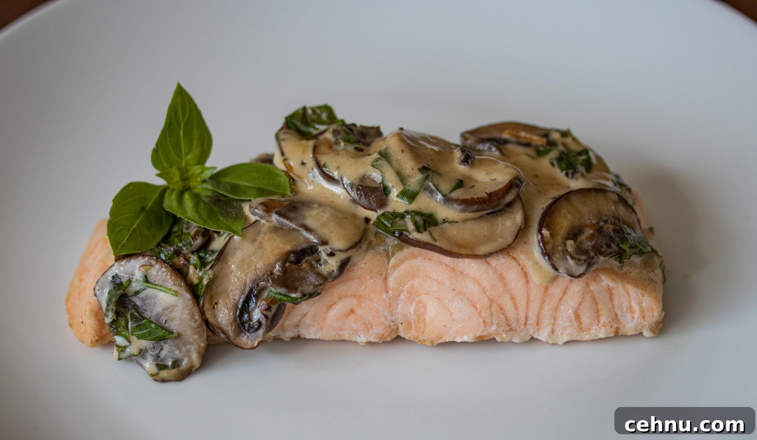 Salmon With Basil Mushroom Sauce Salmon With Basil Mushroom Sauce