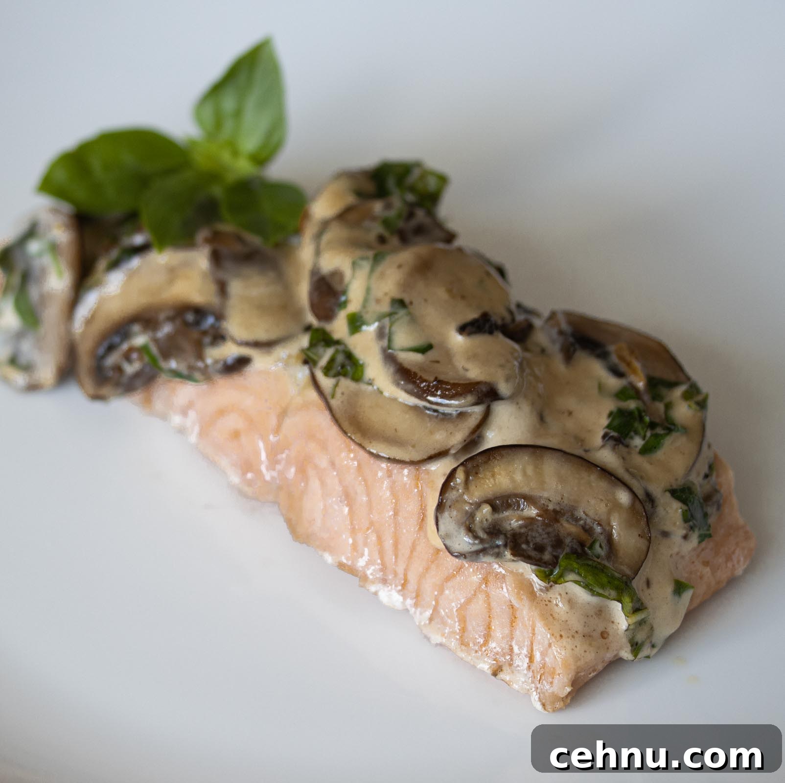 Salmon With Basil Mushroom Sauce Salmon With Basil Mushroom Sauce