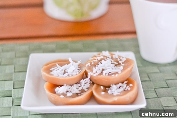 Top 10 Favorite Filipino Desserts - Kutsinta