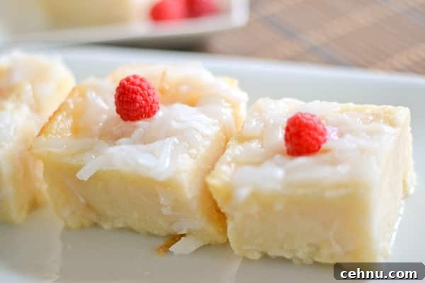 Top 10 Favorite Filipino Desserts - Cassava Cake