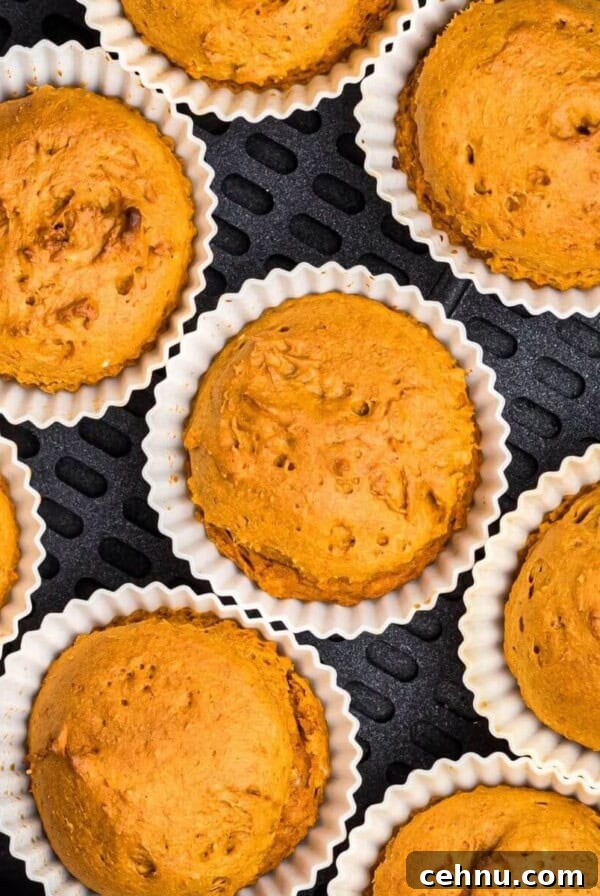 Air Fryer Mummy Hot Dogs: Halloween Appetizer Recipe 11 Moist orange pumpkin muffins in silicone liners in the air fryer basket.