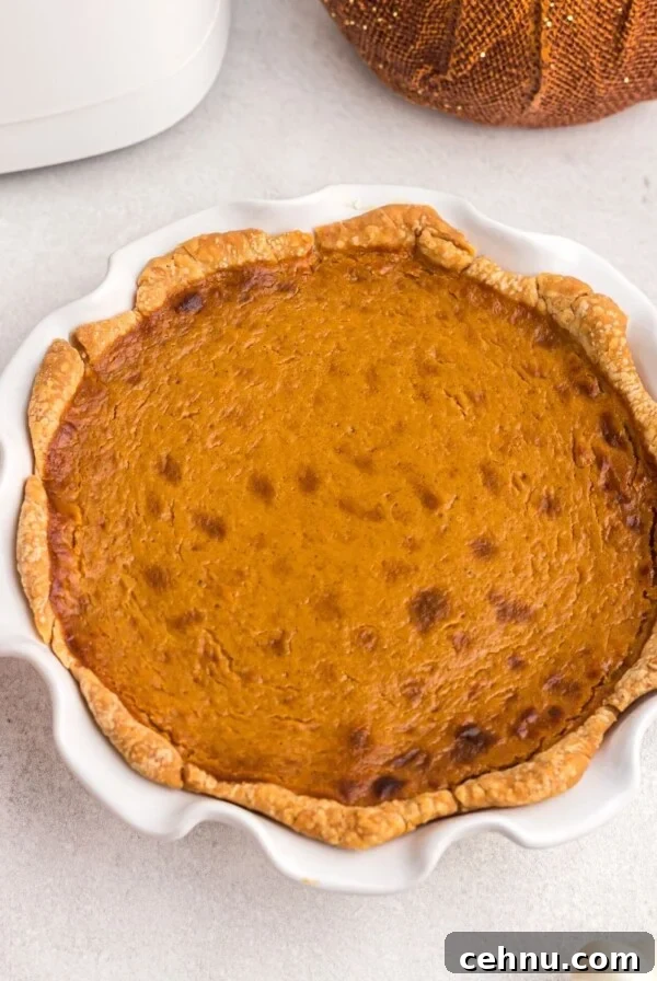 Air Fryer Mummy Hot Dogs: Halloween Appetizer Recipe 10 Golden orange pie in a white pie plate after being cooked in the air fryer.