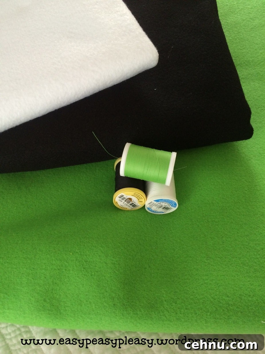 Dr. Seuss Green Eggs and Ham Costume Supplies