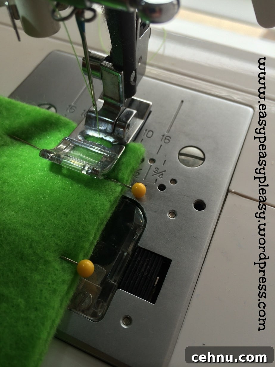 Dr. Seuss Green Eggs and Ham Costume Sewing