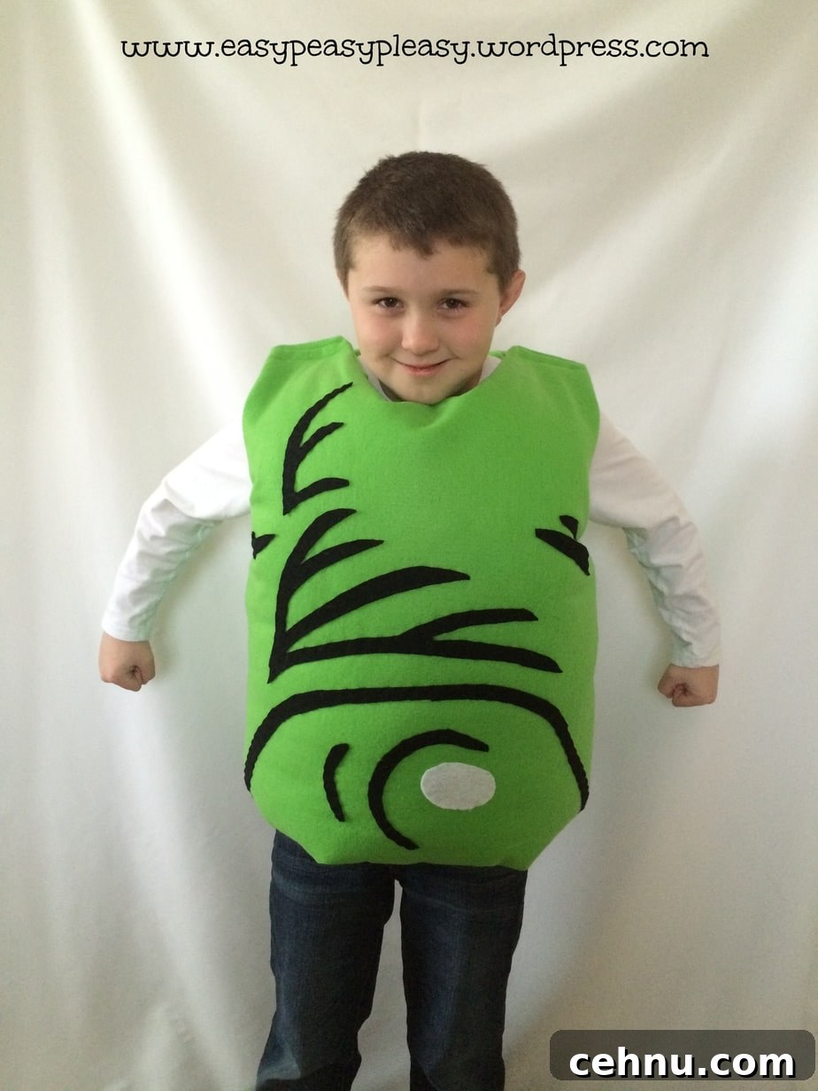 Dr. Seuss Green Eggs and Ham Costume for Sam I Am