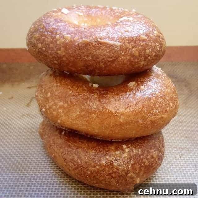 best gluten free bagels