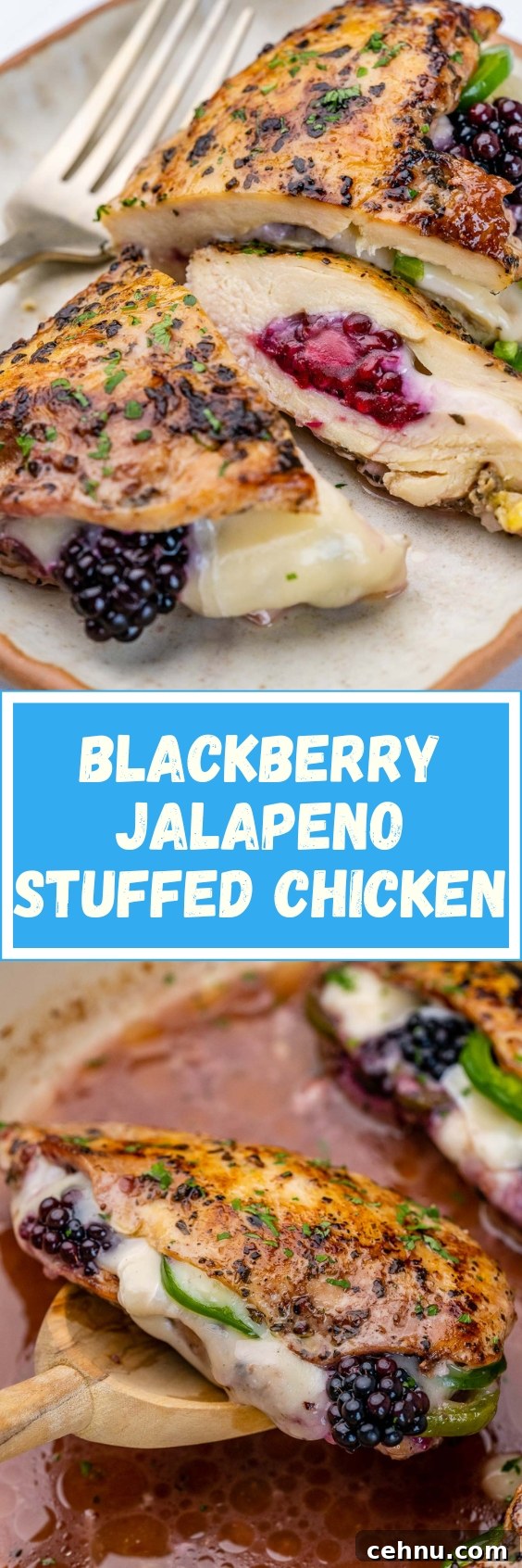 Plated melty blackberry jalapeno stuffed chicken