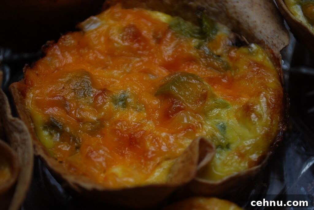 Mini Cheddar and Bell Pepper Quiches 2 Cheddar Pepper Mini Quiche, Close