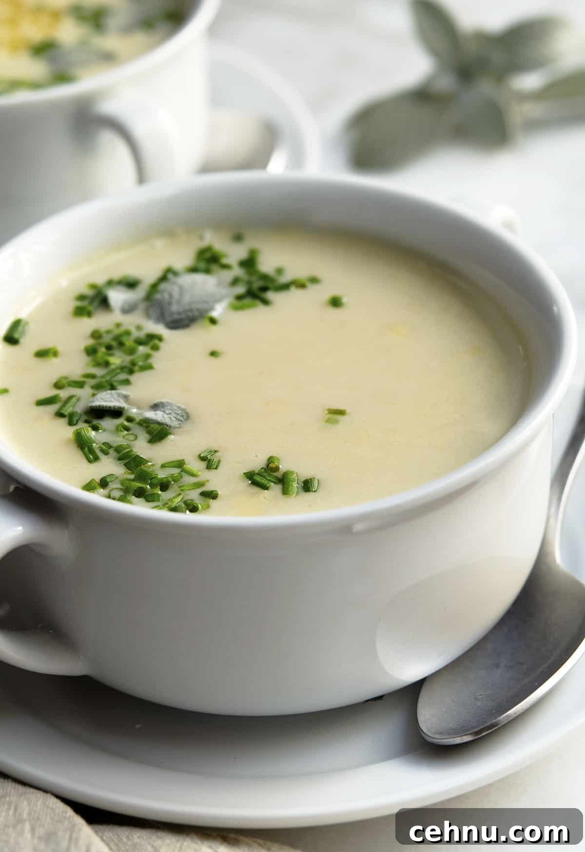 Creamy White Bean Soup with Garlic and Herbs 2 A white bowl filled with creamy white bean soup, garnished with chopped chives and sage leaves. It's placed on a white saucer with a silver spoon beside it.