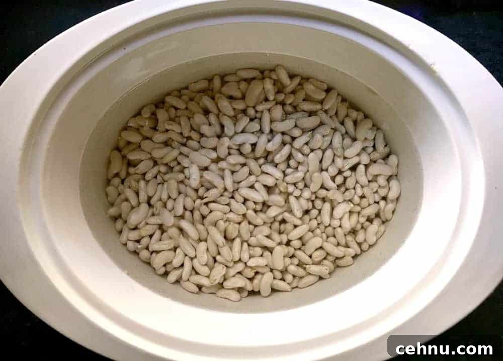 Creamy White Bean Soup with Garlic and Herbs 5 dry cannellini beans soaking in a slow cooker or crockpot.