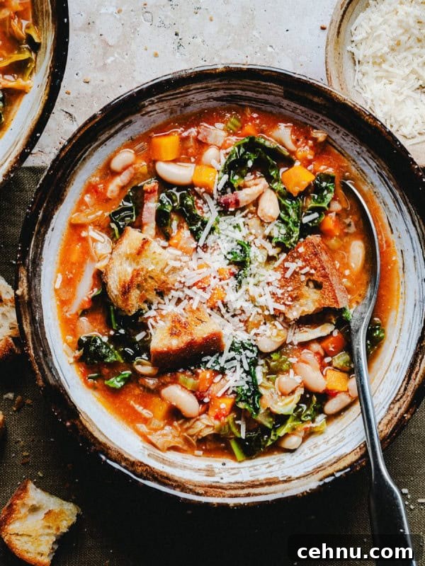 Creamy White Bean Soup with Garlic and Herbs 6 A bowl of hearty vegetable soup with kale, white beans, and chunks of bread topped with grated cheese. A spoon rests inside the bowl. There are pieces of crusty bread and a small bowl of cheese nearby on a rustic surface.