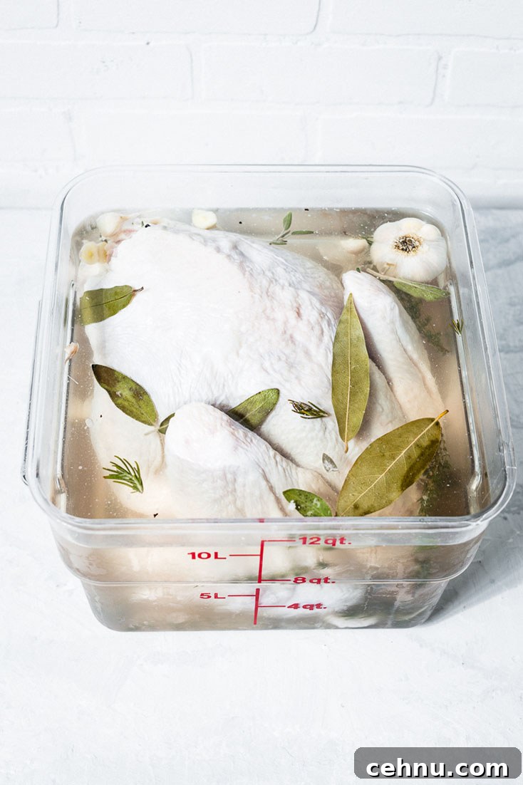 smoked turkey brine overhead