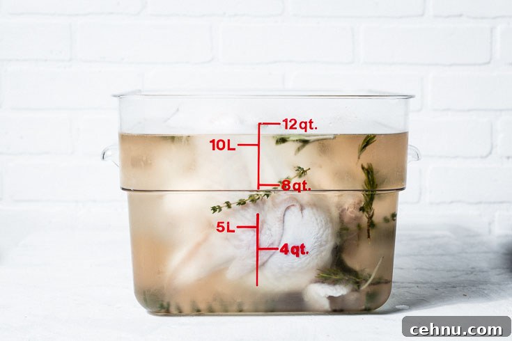 smoked turkey brine horizontal