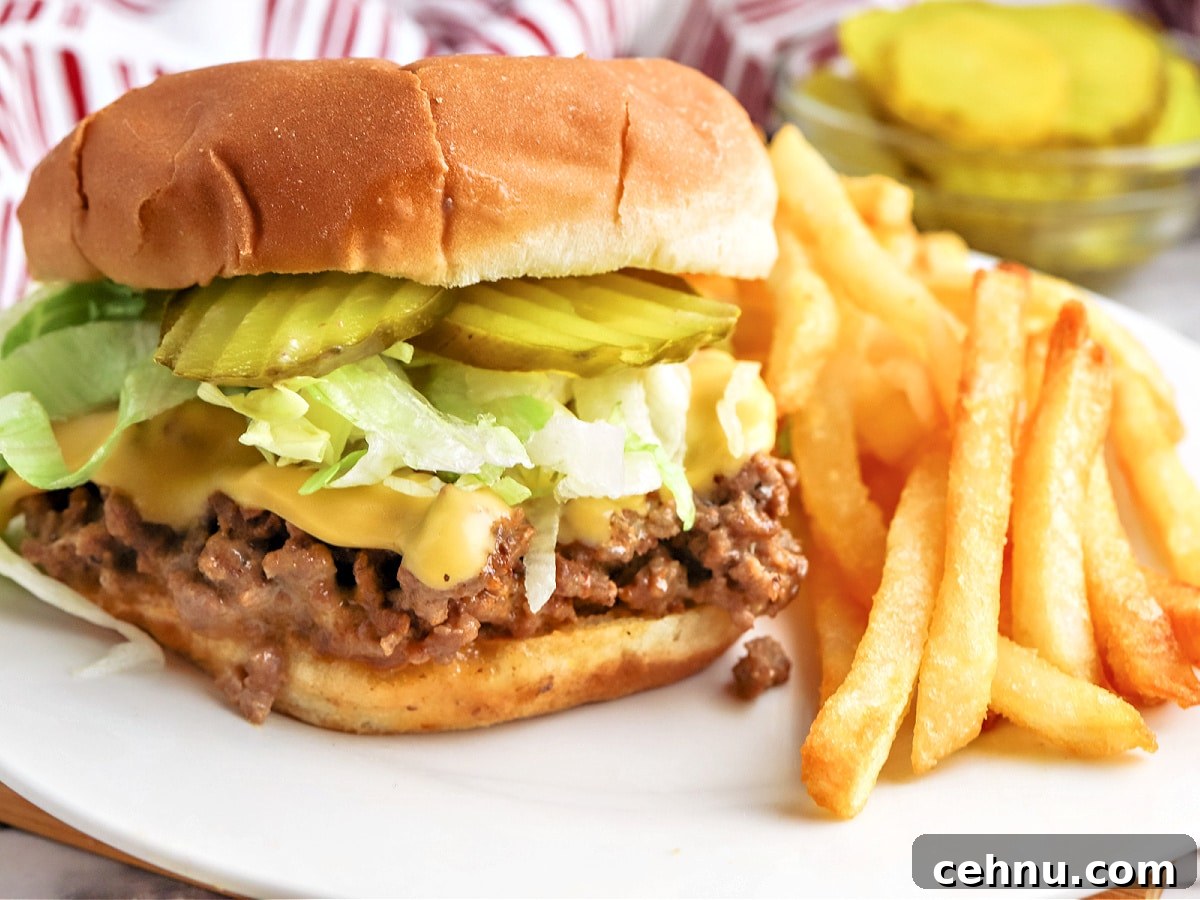 10 Ground Beef Recipes for Quick Weeknight Dinners 7 Big Mac Sloppy Joes and Fries (1)