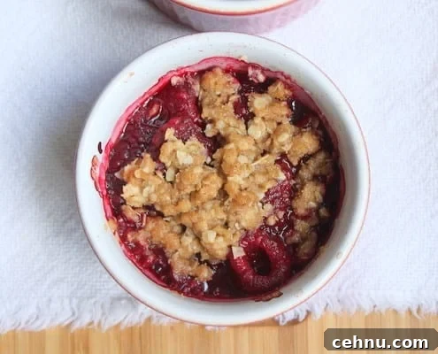 Mixed Berry Oatmeal Crumbles