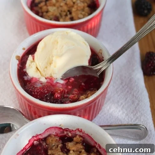 Mixed Berry Oatmeal Crumbles
