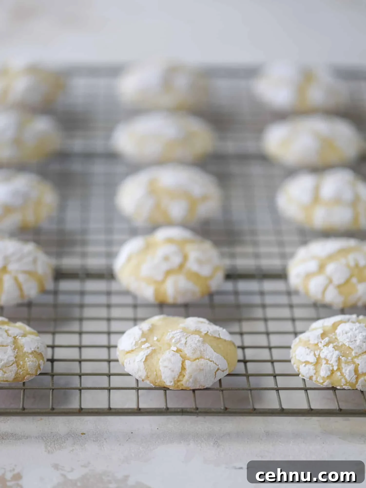 These lemon crinkle cookies are perfect if you love lemon desserts! They take after chocolate crinkle cookies, but are a delightful refreshing lemon flavor sprinkle with powdered sugar. These are always a huge hit!