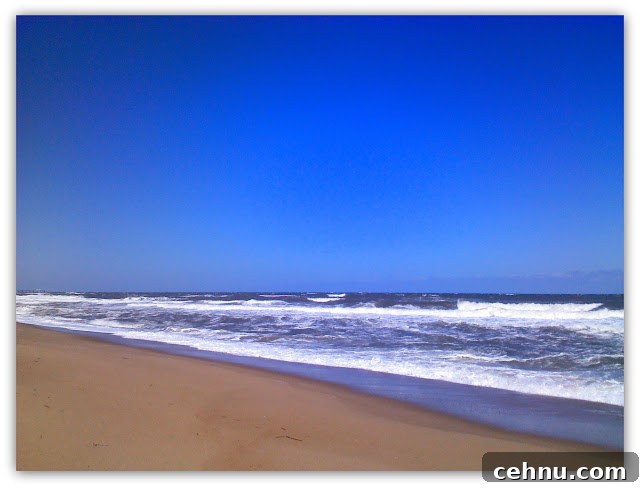 Coastal views in Duck NC