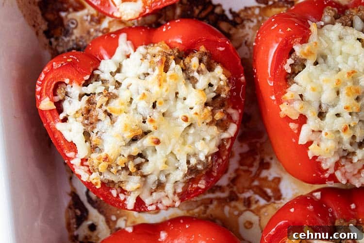 overhead view of keto stuffed peppers on a white dish ready to be served and topped with melted cheese