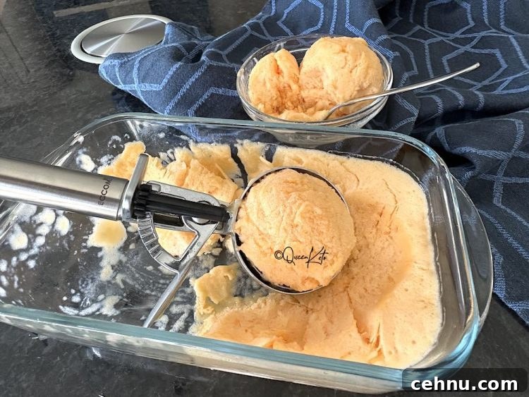 Zero-Carb Dairy-Free Vanilla Ice Cream Recipe for Carnivore Diet 2 Zero‑Carb Carnivore | Dairy‑Free Vanilla Ice Cream