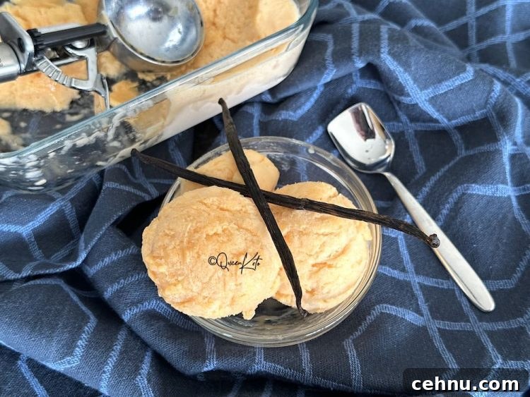 Zero-Carb Dairy-Free Vanilla Ice Cream Recipe for Carnivore Diet 3 img 591858 2