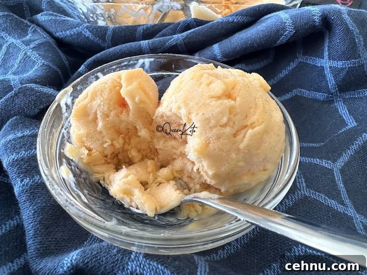 Zero-Carb Dairy-Free Vanilla Ice Cream Recipe for Carnivore Diet 4 img 591858 3