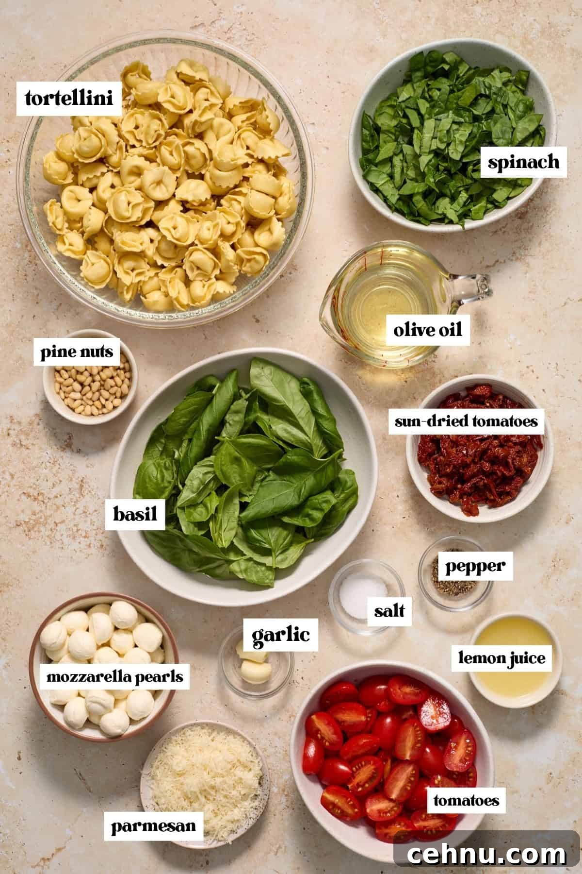 Spinach, mozzarella pearls, spinach, tortellini and other ingredients labeled on surface.