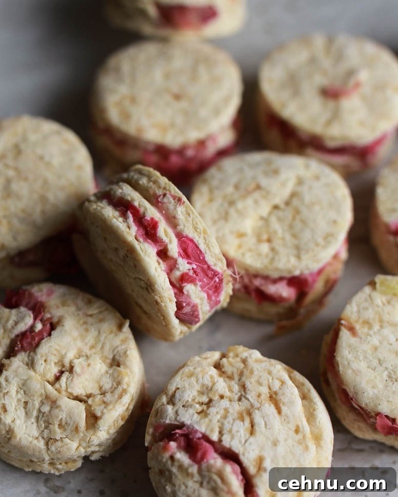 Flaky Roasted Rhubarb and Brown Sugar Buttermilk Scones 2 roasted rhubarb buttermilk and brown sugar scones