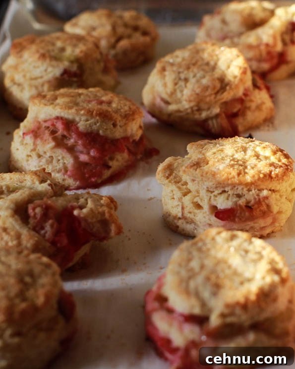 Flaky Roasted Rhubarb and Brown Sugar Buttermilk Scones 3 roasted rhubarb buttermilk and brown sugar scones