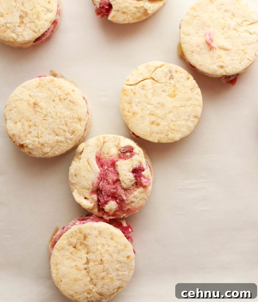 Flaky Roasted Rhubarb and Brown Sugar Buttermilk Scones 4 frozen roasted rhubarb scones