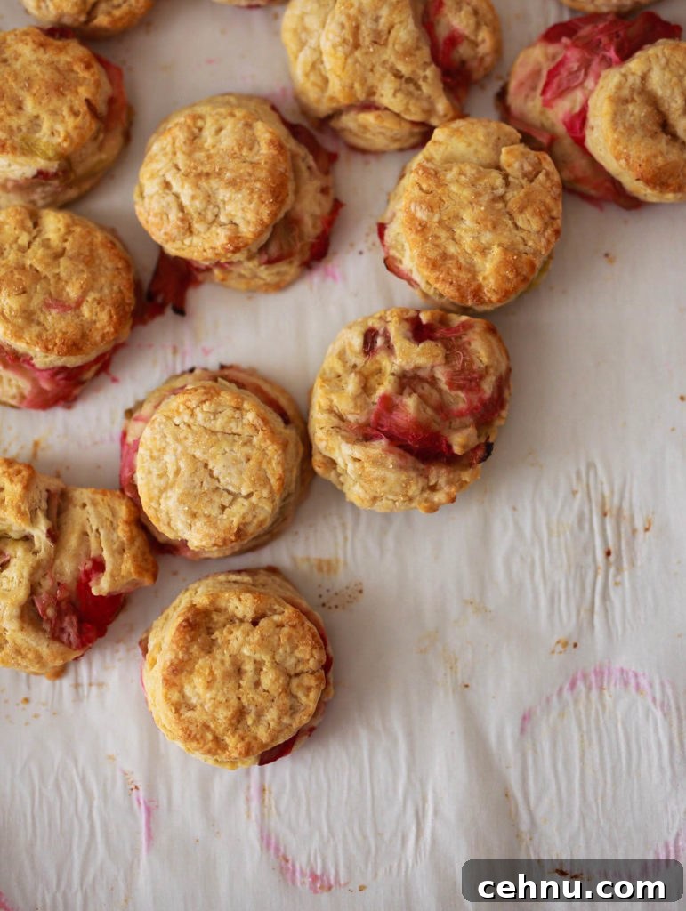 Flaky Roasted Rhubarb and Brown Sugar Buttermilk Scones 5 Roasted Rhubarb Buttermilk Brown Sugar Scones