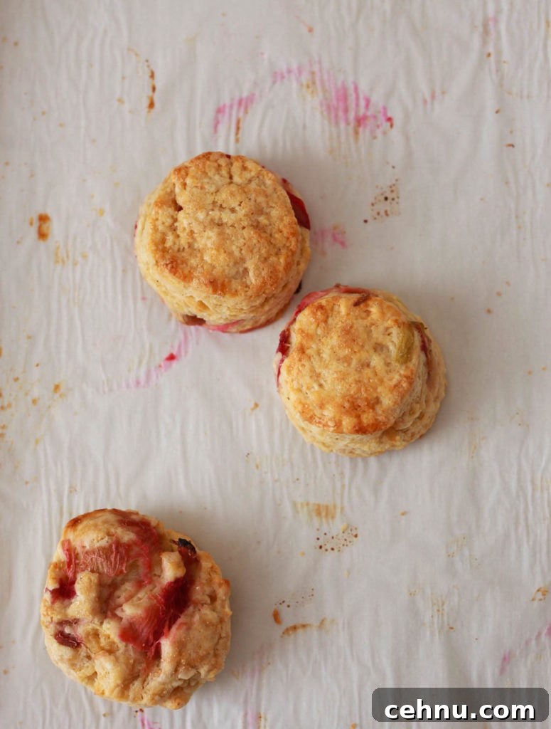 Flaky Roasted Rhubarb and Brown Sugar Buttermilk Scones 6 img 616 6