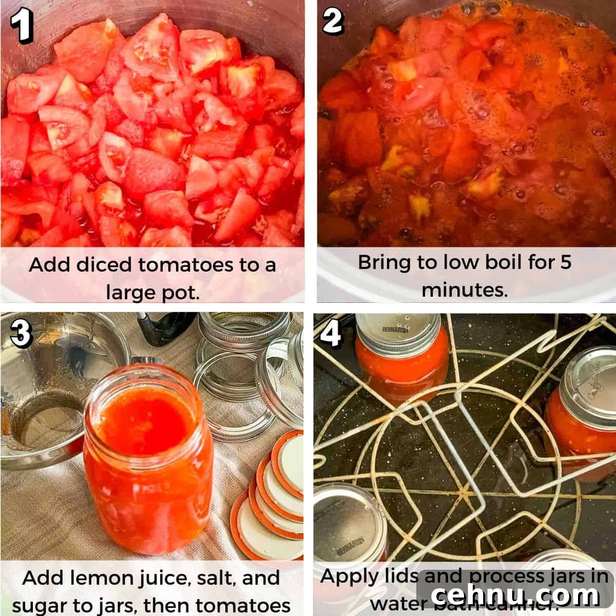 Labeled and numbered process photos showing how to fill and process jars in water bath canner.
