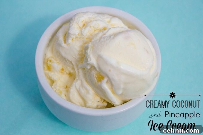 Creamy Coconut Pineapple Ice Cream