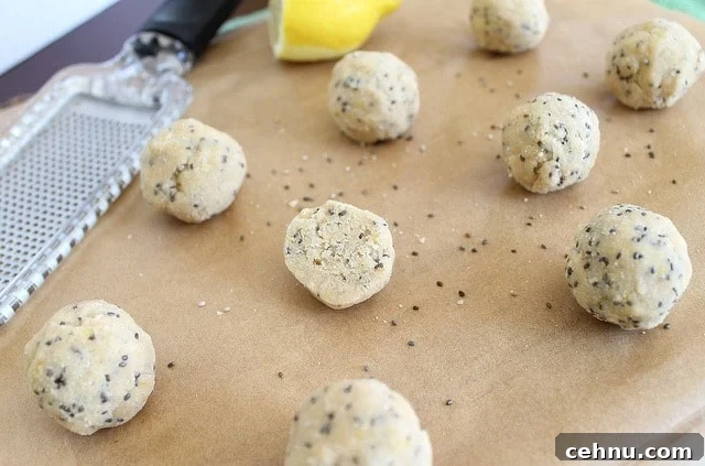 coconut lemon chia balls