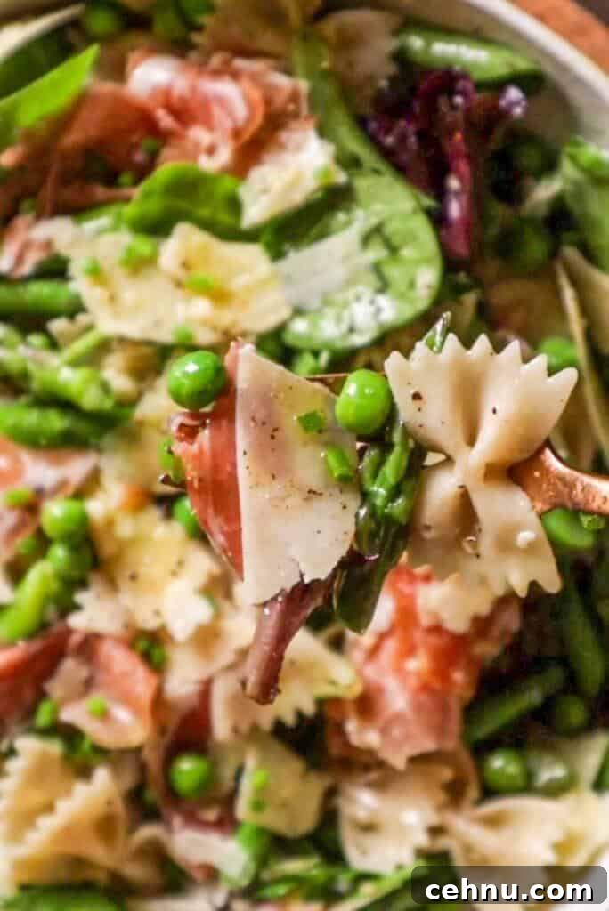 fresh spring salad recipe