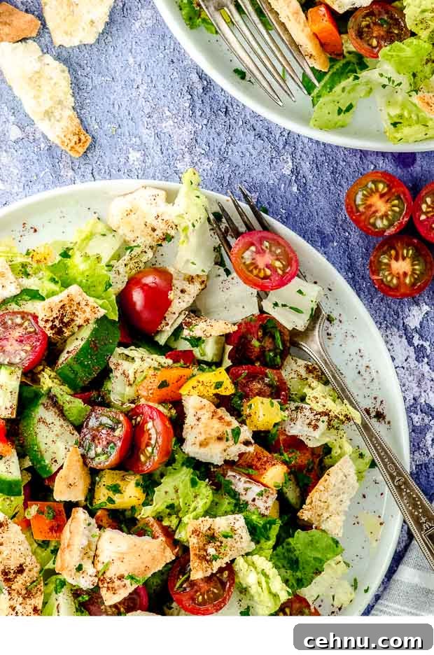 Partial Bird's eye view of white plate filled with fattoush salad