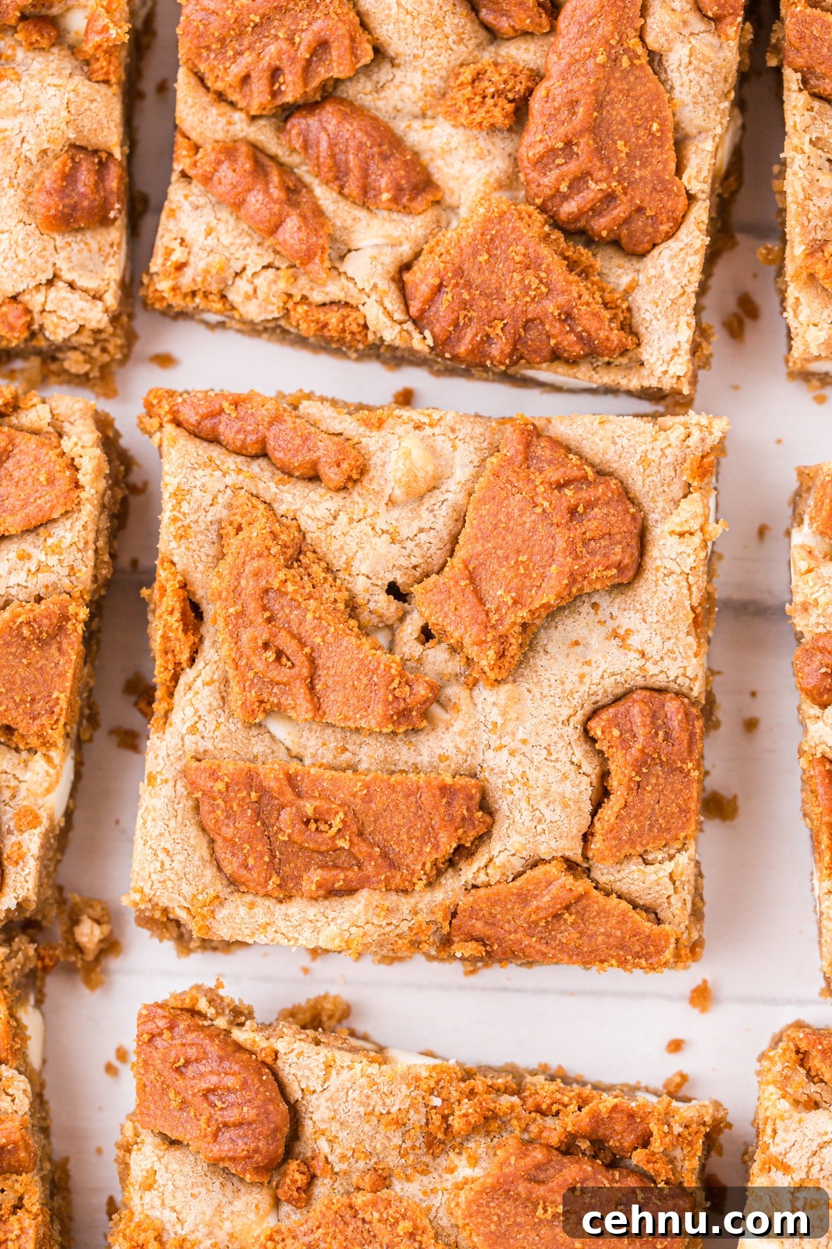 Blondies topped with chopped biscoff cookies.