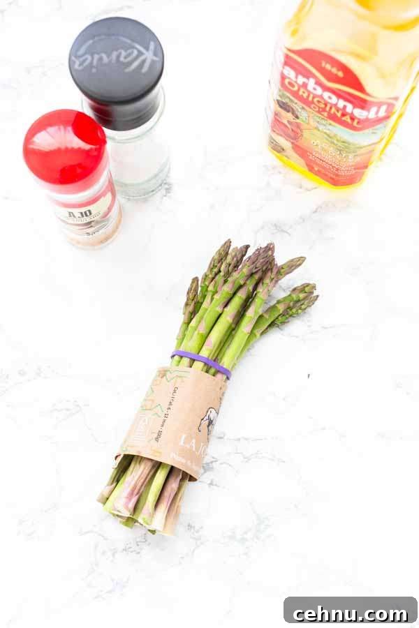 Seasoned asparagus ready for the Air Fryer