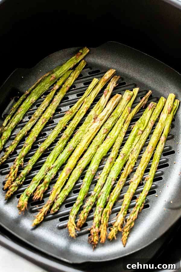Grilled asparagus with dark sear marks, served as a side