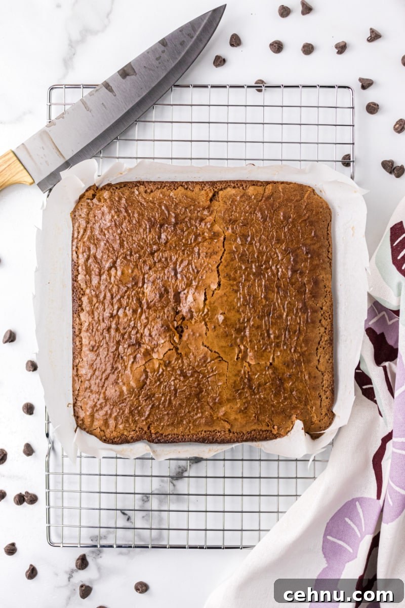 slab of baked brownies on a cooling rack