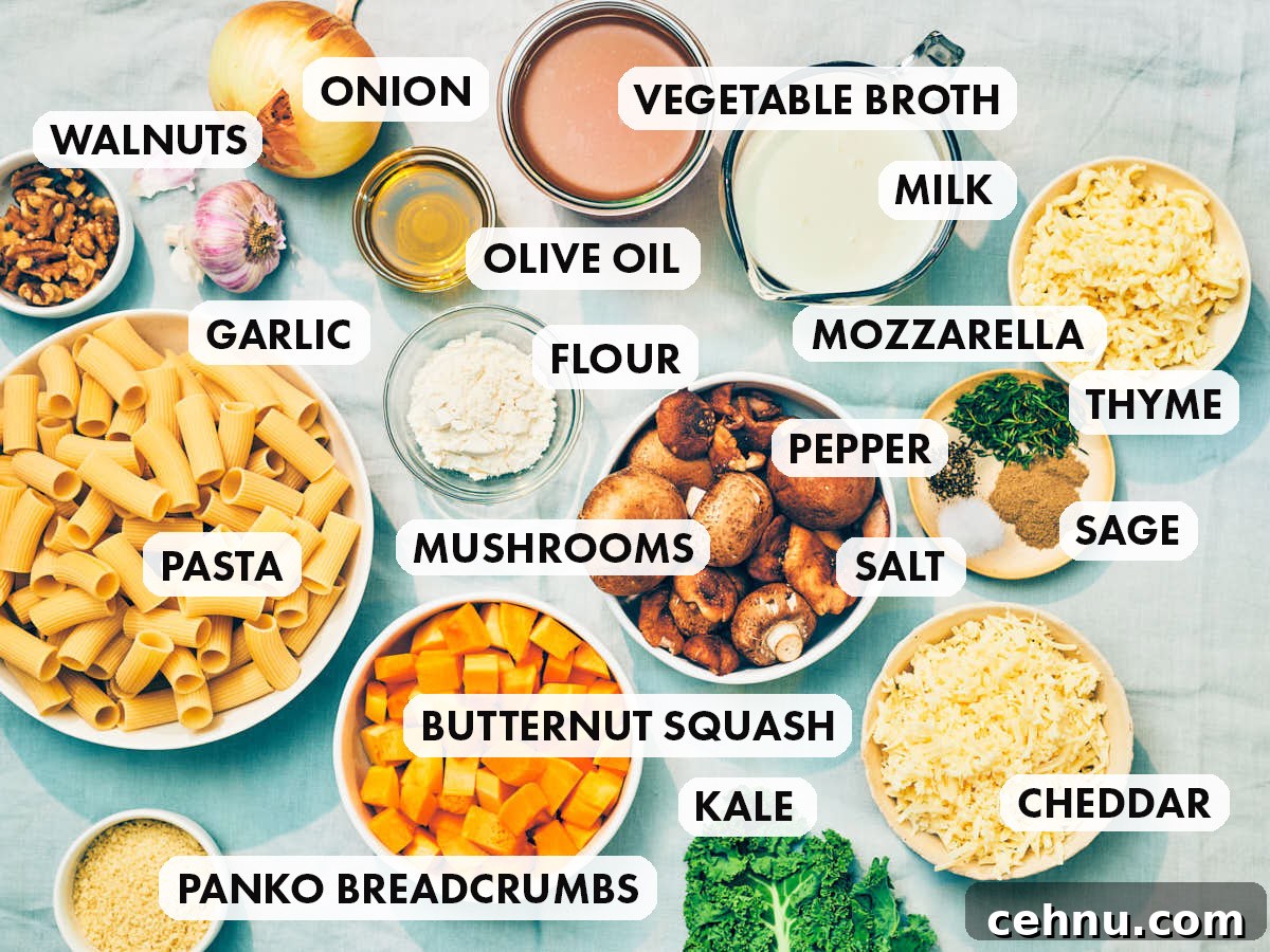 Ingredients to make vegetarian Cheesy Butternut Squash baked pasta.